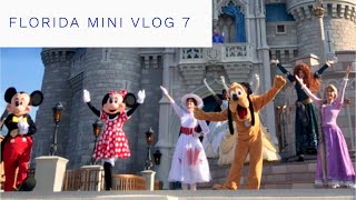 Walt Disney World Florida May 2018 - Daily Mini Vlog 7 - Magic Kingdom in the sunshine & Fantasmic