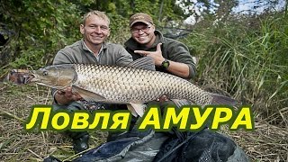 Ловля Дикого Амура А.Фадеев в гостях у В.Сиротина.