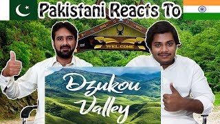 Pakistani Reacts to | Dzukou Valley | Nagaland | Table Top Reactions