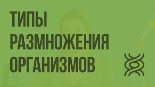 Типы размножения организмов. Видеоурок по биологии 9 класс