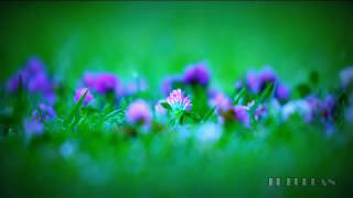 10 Beautiful Nasheeds ► Vocals Only (No Music)