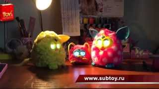 Furby & Furby Boom и Furby Party Rockers поют вместе, видео от Ани