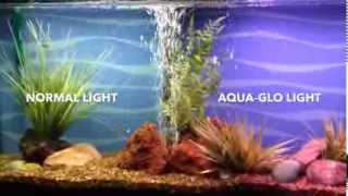 Jeff Doin' Stuff - Aqua Glo Fish Color Enhancing Aquarium Bulb by HAGEN Comparison