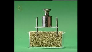 Опыты по физике. Зависимость давления от площади поверхности и силы