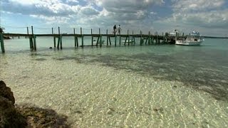 The Grand Bahamas: Burt Wolf Travels & Traditions (#907)