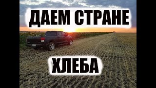 Часть 1. Спился на уборке зерновых!