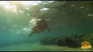 Girl swims underwater in fins and snorkel (Девушка плавает под водой в ластах и маске с трубкой)