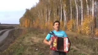 Владимир Белоглазов Журавли улетают
