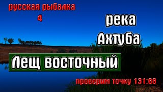 Русская рыбалка 4(рр4) - река Ахтуба. Лещ восточный.