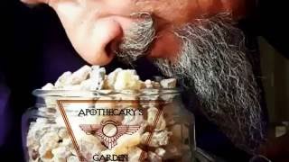 A Frankincense distillation-Apothecary's Garden Workshop