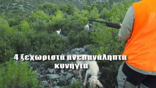 ΚΥΝΗΓΙ ΛΑΓΟΥ - ΙΧΝΗΛΑΤΕΣ Νο 12 Ο ΙΧΝΗΛΑΤΗΣ ΤΗΣ ΙΣΤΡΙΑΣ