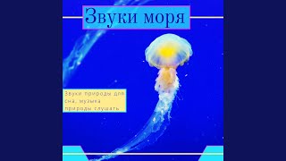 Океан