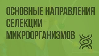 Основные направления селекции микроорганизмов. Видеоурок по биологии 9 класс