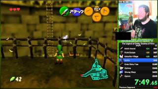 Amazing Cuccos