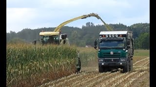 Siláž 2018 - Krone Big X 600, Tatra, Claas - ZS Kosova Hora