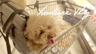 SUB) 호두네 주말 쇼핑 일상 | Shopping in Hala Koszyki, Warsaw