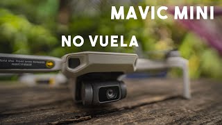¿Por qué no pude probar el MINI los primeros días?