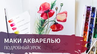 Цветы акварелью для начинающих. Подробный урок - "Красные маки".