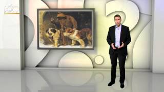 Pourquoi une race de chien a-t-elle pris le nom de Saint-Bernard ?