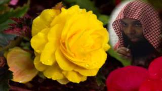 الشيخ خالد الراشد /  محاضره بعنوان , المهدي المنتظر