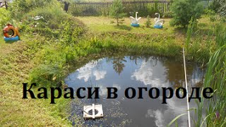 Пруд на даче.