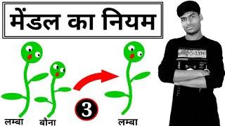 मेंडल का नियम