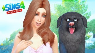 ABRIMOS EL REFUGIO DE MASCOTAS / LOS SIMS 4 PERROS Y GATOS #5