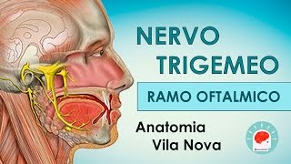 NERVO TRIGEMEO: RAMO OFTALMICO COM NEUROSTUDENT