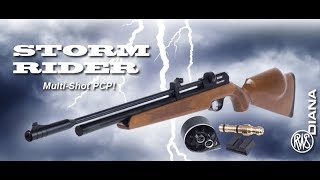 diana stormrider pcp 22 cal  100 yards accuracy test