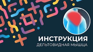 Kinexib - тейпирование дельтовидной мышцы