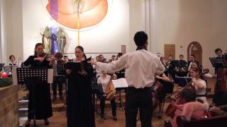 Бах Ария альта"Страсти по матфею"/I.S.Bach.Aria(Alt)St.Matthew Passion"