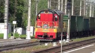 Тепловоз ЧМЭ3-2024 с полувагонами производит маневры по станции Луховицы.