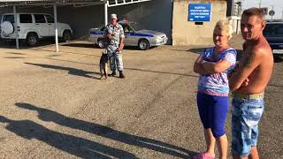 Пост ДПС Староминская беспричинный досмотр с собакой