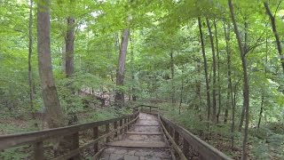 Highbanks Virtual Trail Run