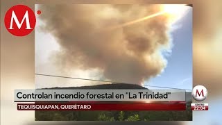 Estados afectados por incendios forestales en 2019