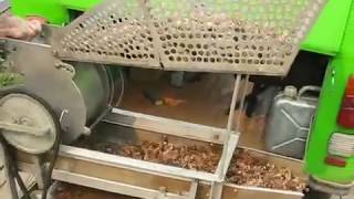 Переработка кедровых шишек. т.89135153009