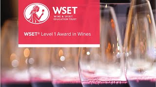 Is the WSET Level 1 Award in Wines the Right Course for You?