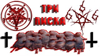 СТРАШНЫЕ ИСТОРИИ ТРИ ПИСКА Мистика Zvook