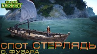 Black Desert - Cпот без мусора #3 (Стерлядь). Фузара. После Валенсии.