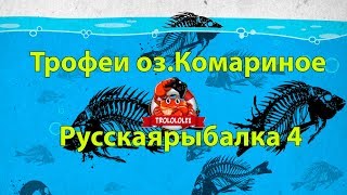 Русская рыбалка 4 Комариное Где ловить новичкам