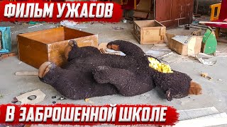 Заброшенная школа | Орловская область | Новосильский район