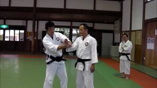 合氣武徳会（術理の解説）H29 5 14
