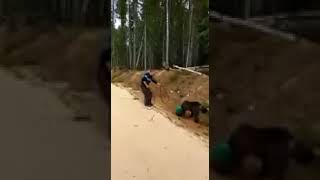 Медведь застрял в канистре.
