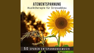 Meditation Musik (Entspannung, Regeneration)