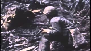 WW2: US Infantry Weapons
