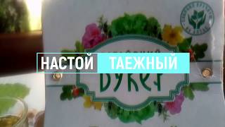 настой Таежный