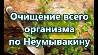 Очищение всего организма по Неумывакину