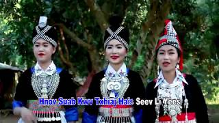 Hmoob Tsiab Peb Caug (Instrumental) by Leekong Xiong & Dalee Chang