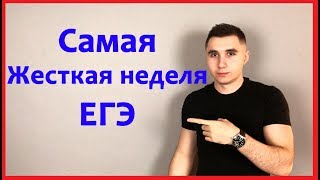 Программа чек-лист на неделю ЕГЭ математика RoadTo100 #2