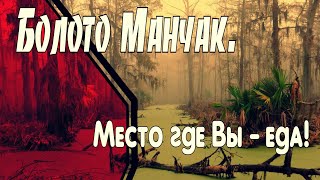 Болота Манчак в Луизиане - страшная достопримечательность.